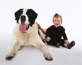 ALPHA The BIG DOG Locksmith company