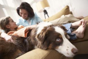 Home protection for your family is our top job